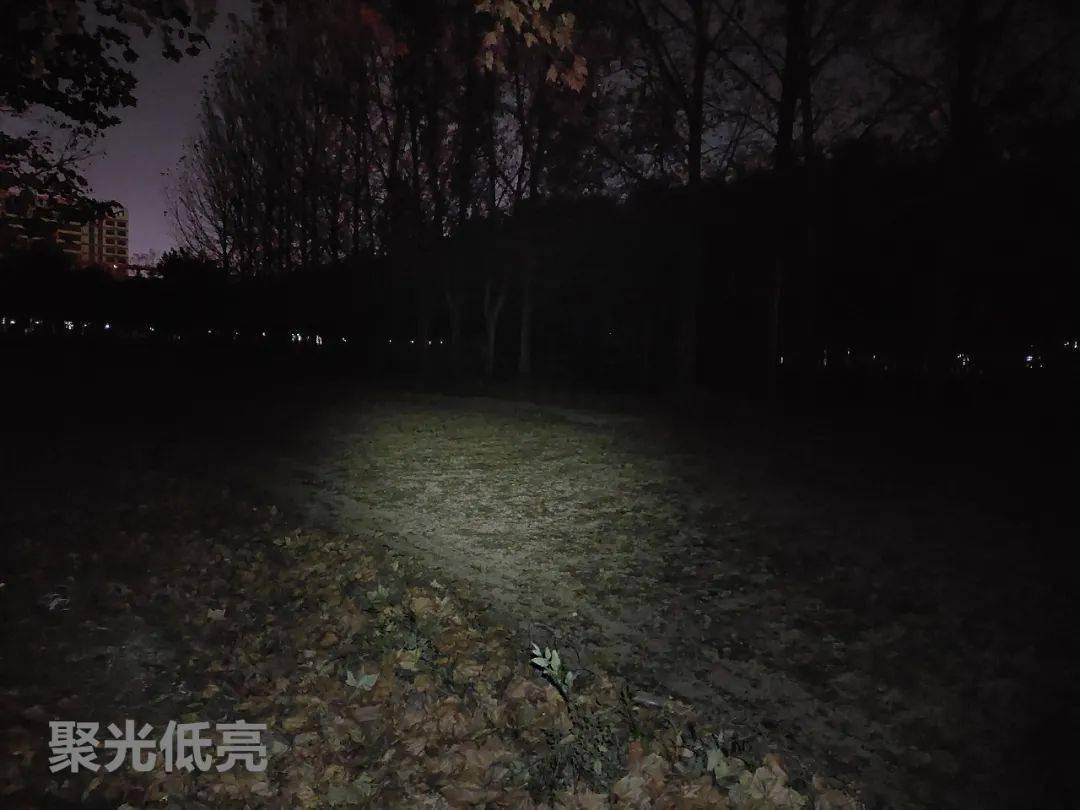 本人晚上習慣夜跑,不過公園人多,一般都是在濱河小道上跑,路燈昏暗