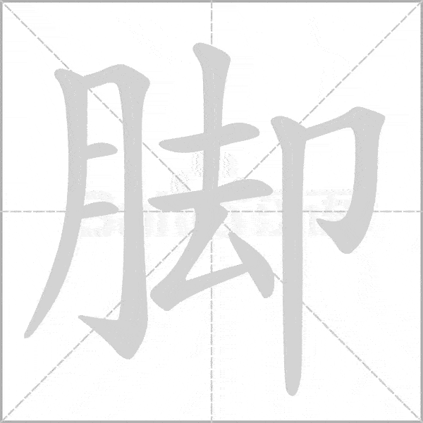 "腿"字的笔顺 "腿",左右结构,部首"月".组词:腿脚,跑腿,大腿.