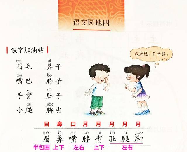 语文园地四(小学语文一年级下册)_部首_笔顺_轻声