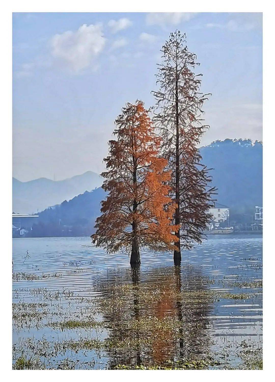 季节|宁波这地方又双叒叕刷屏了！这个季节，美得像画卷~