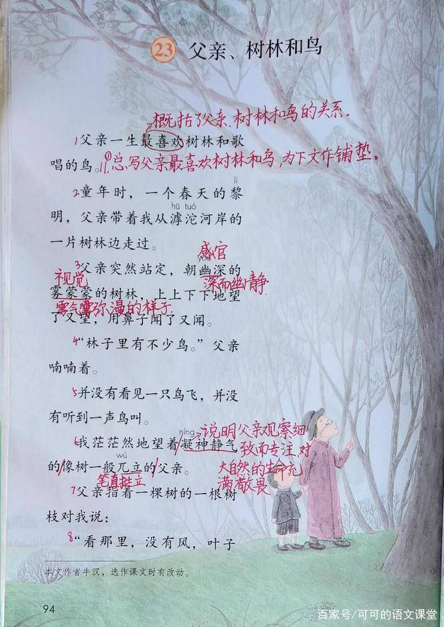 三年级上册语文23父亲树林和鸟课堂笔记作文写法宝典
