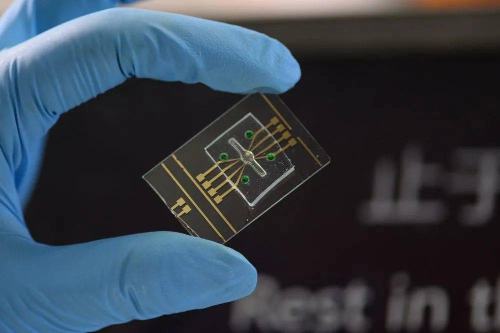 新突破！高校师生把校训存入DNA序列…