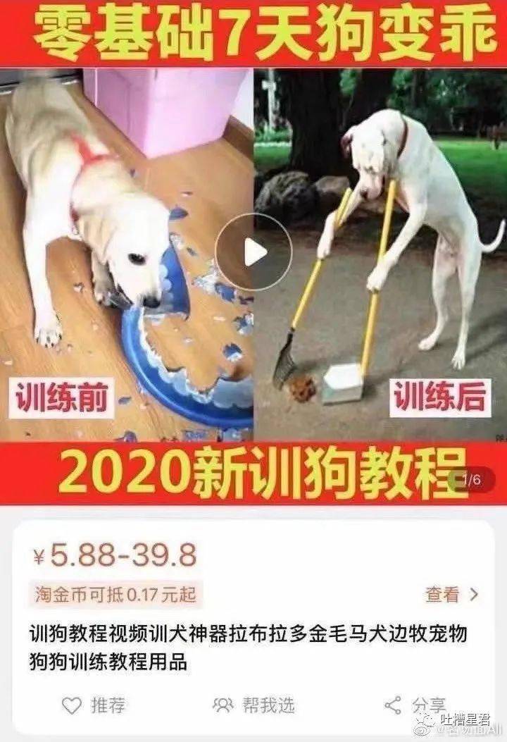 汤臣|“我在汤臣一品月入8w，跟刘亦菲做邻居…”啊啊啊请问还招人吗？！