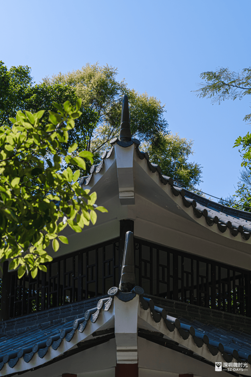 公园|深圳最值得爬的山，这算一个！就在市区，地铁直达！