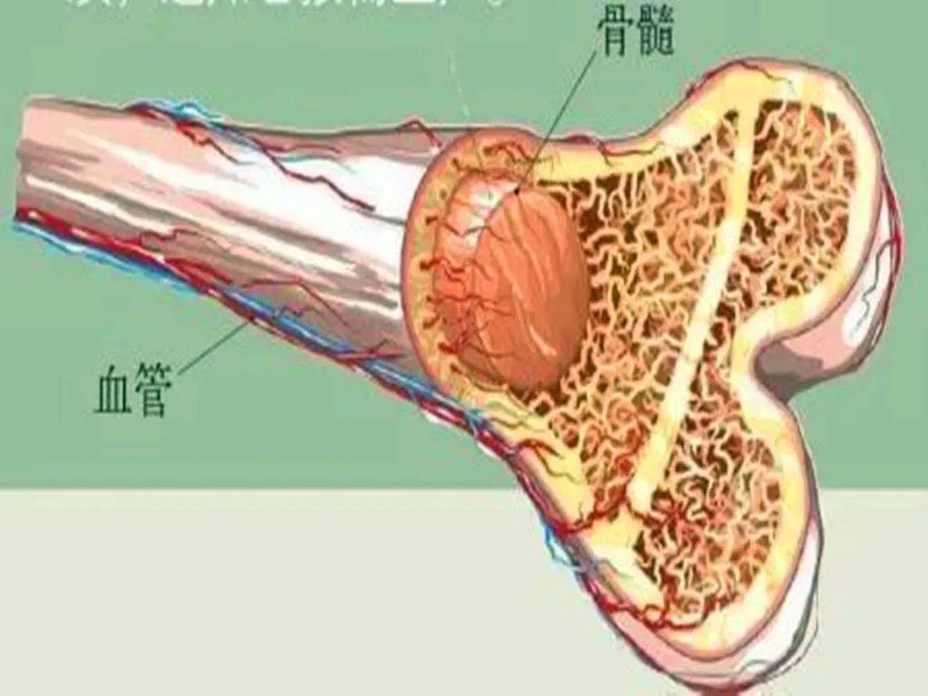 這樣一種結構使得人