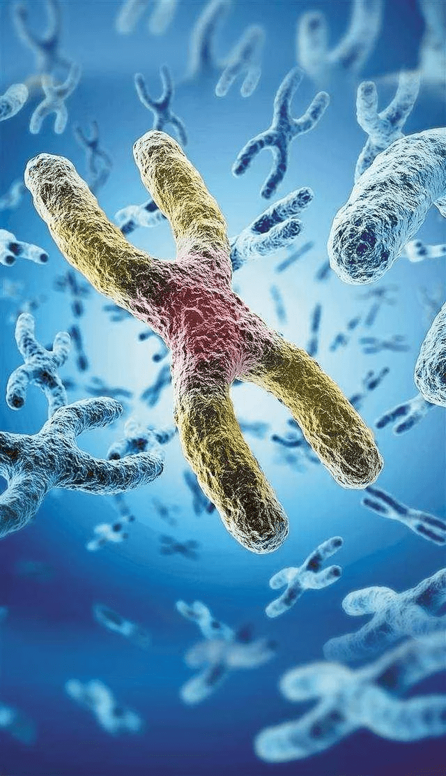 地球上的生命是如何诞生的,你知道吗?_细胞_氧气_化石