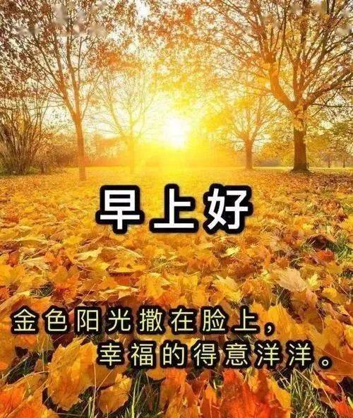 早上好阳光一段话_华中_自律_生活