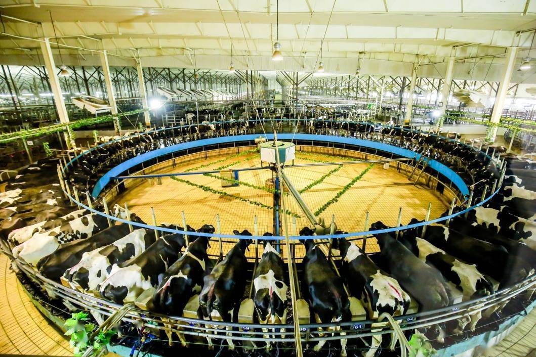 简醇|健康消费蔚然成风 君乐宝简醇年度销量将超14亿盒