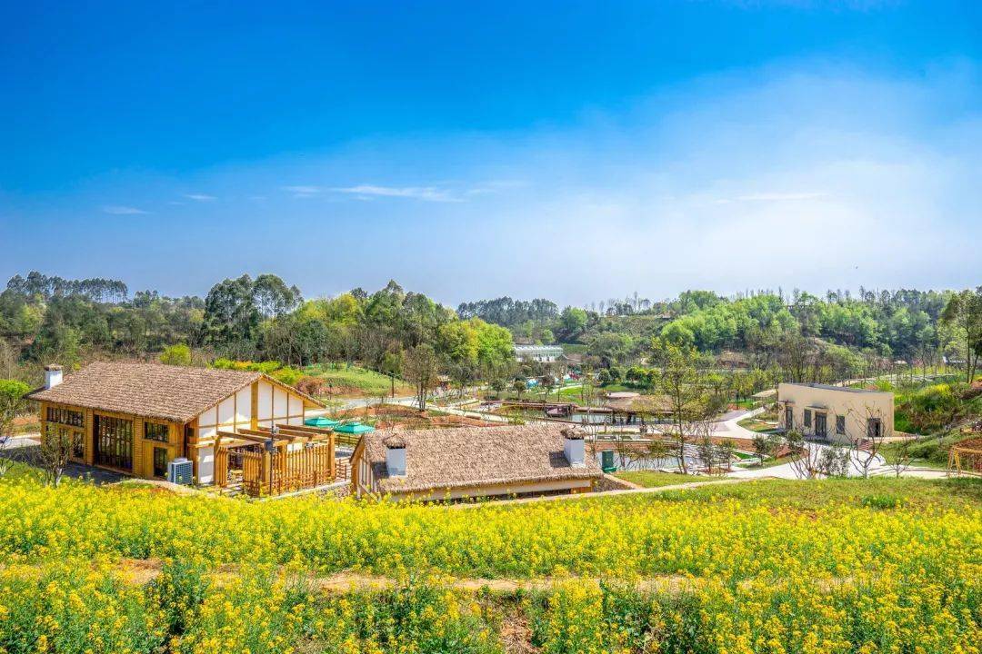 华侨城集团的首个农旅观光体验产品——成都华侨城 · 欢乐田园