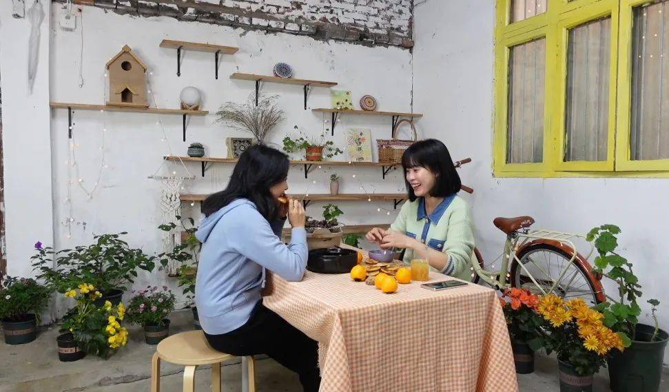 一人一生活 挣钱不是人生的意义 两个闺蜜到乡下改造农家小屋 过上自己说了算的日子 刘刘 车车 农村