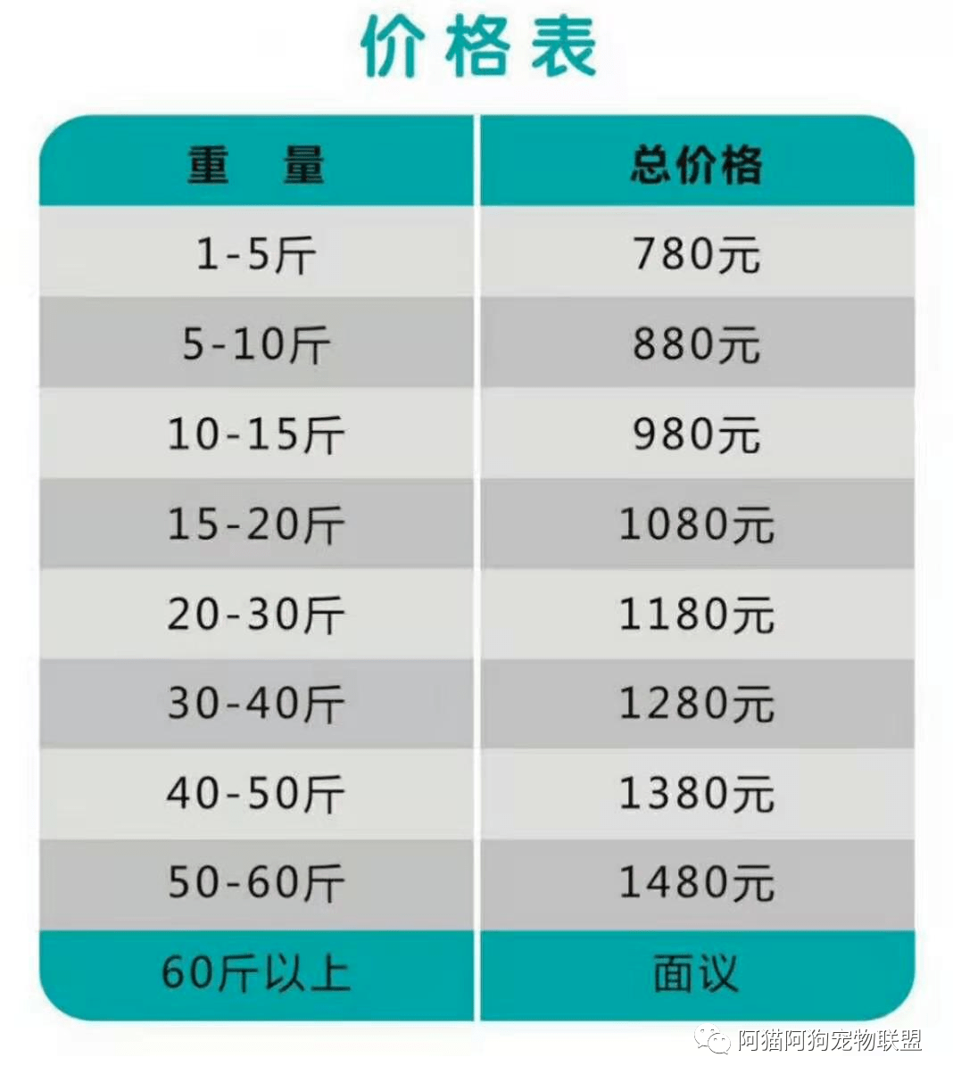 阿猫阿狗开展宠物火化殡葬葬礼墓碑定制化服务它值得体面的升往天堂