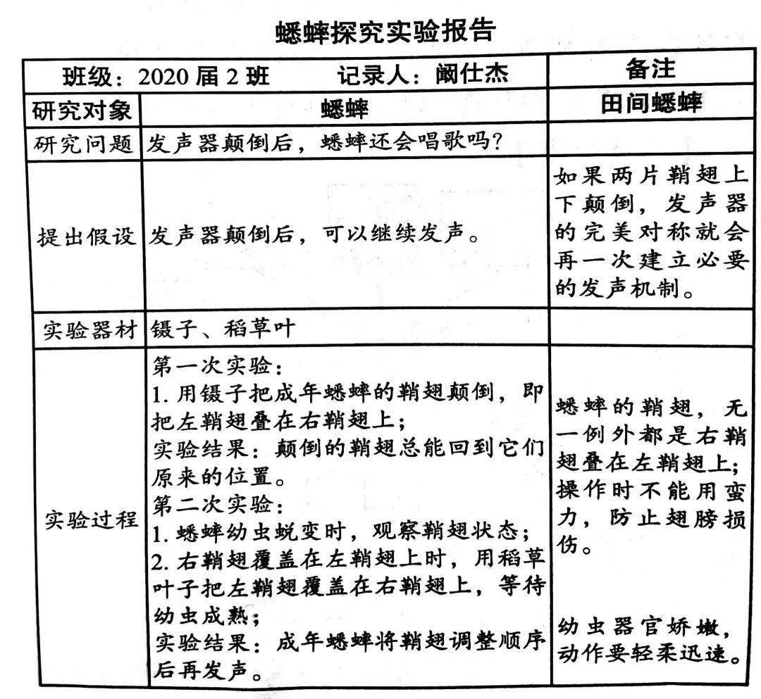 法布尔蜜蜂实验图图片