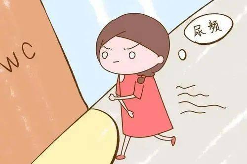 日益扩大的子宫的压迫,使得膀胱的容量变小,常会有尿频尿急的现象发生