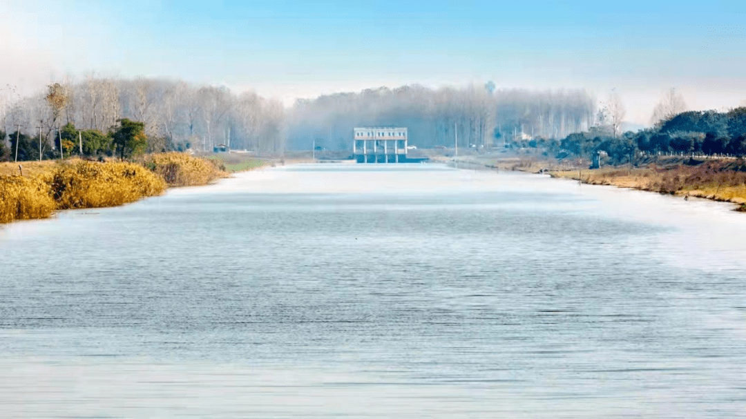 学习强国望江打造幸福河湖点亮生态名片