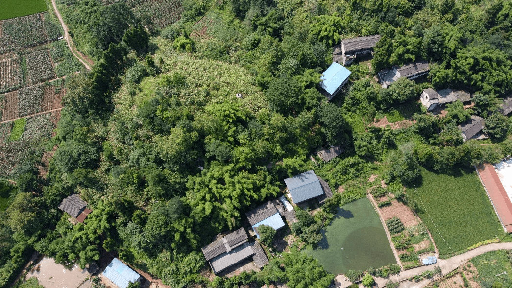 潼南这个村落 入选重庆市传统村落名录_桅杆_新胜镇_自然村