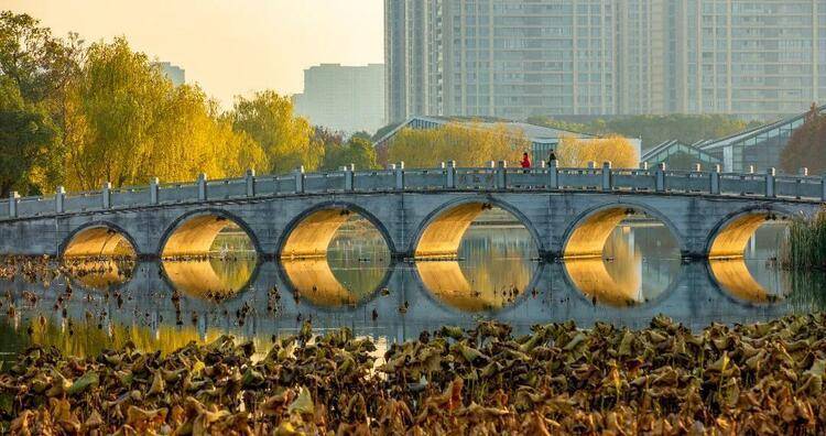 江南|在苏州东太湖 有千百种温暖越冬的方式