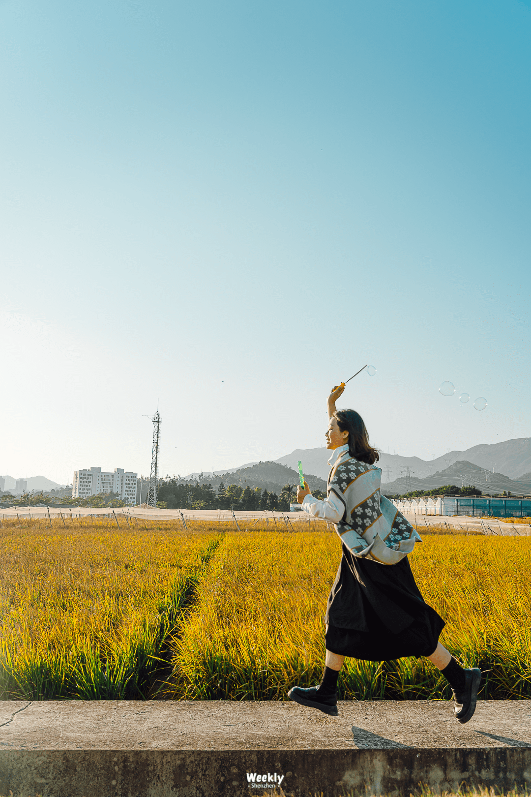 花海|曝光深圳「花海梯田」，去过算我输