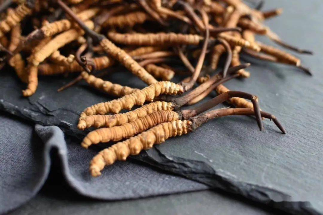 食用方法虫草泡水:取1克冬虫夏草洗净后放入杯中,再倒入适量开水将杯