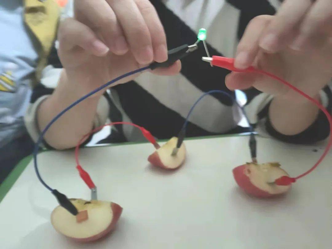 水果发电实验——亲亲家长进课堂