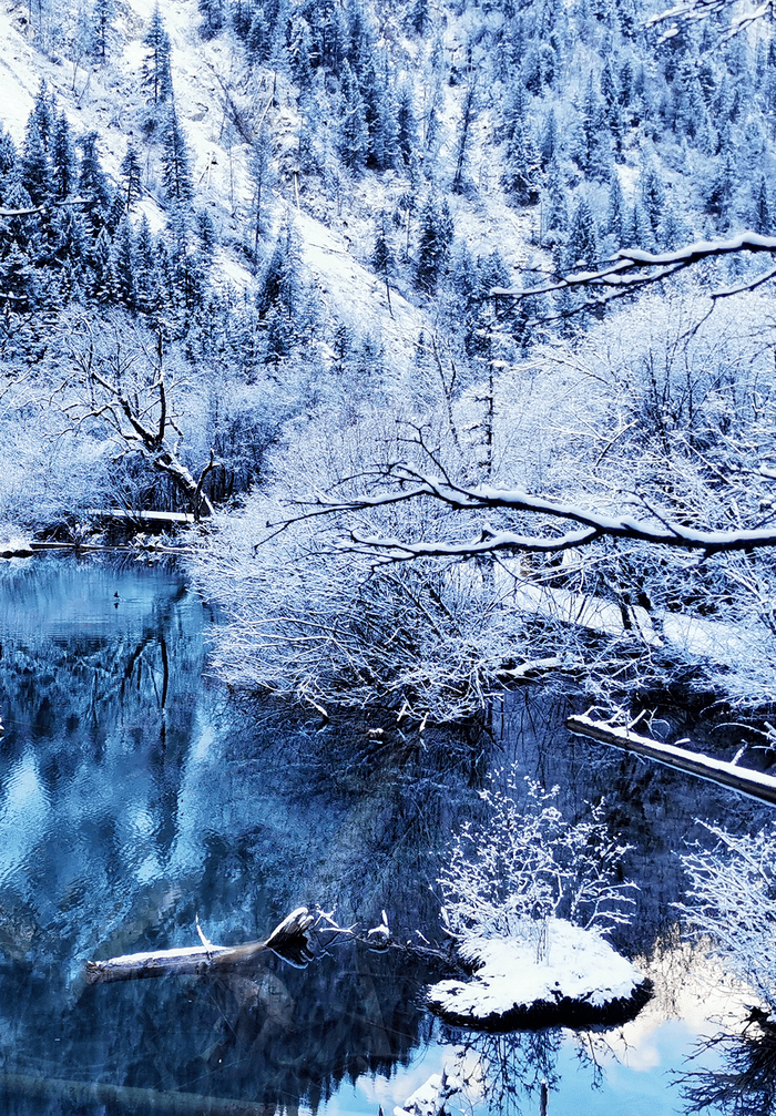 赞美九寨沟的雪景图片