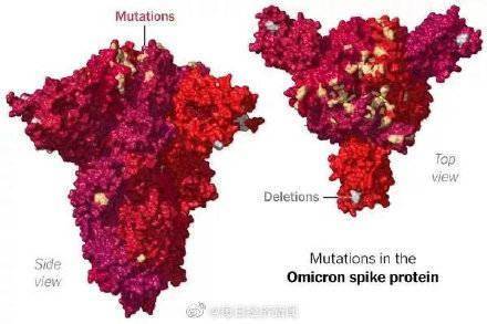 Venky|研究称奥密克戎或带有感冒病毒基因 科学家盼“弱病毒”扭转疫情