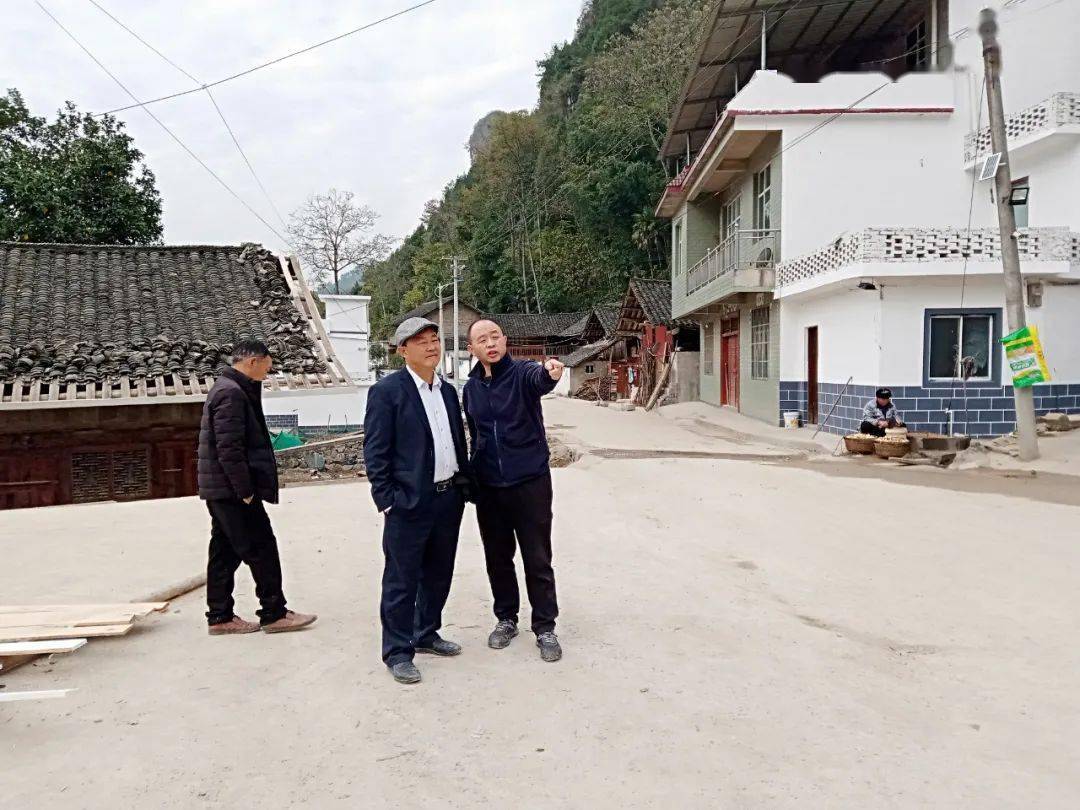 滕建杰到闵孝镇双屯村调研特色田园乡村乡村振兴集成示范点建设情况