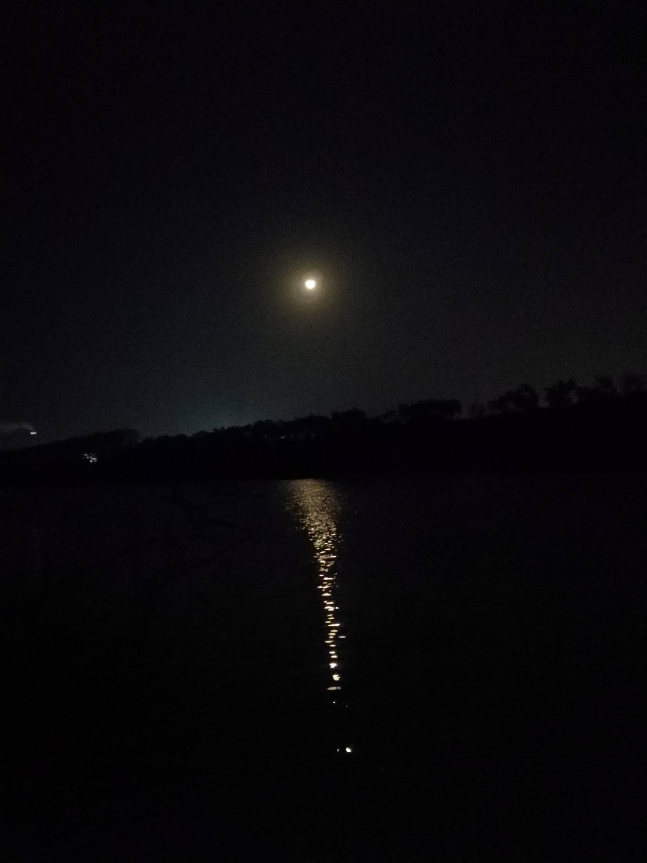 远近渔黑夜图片