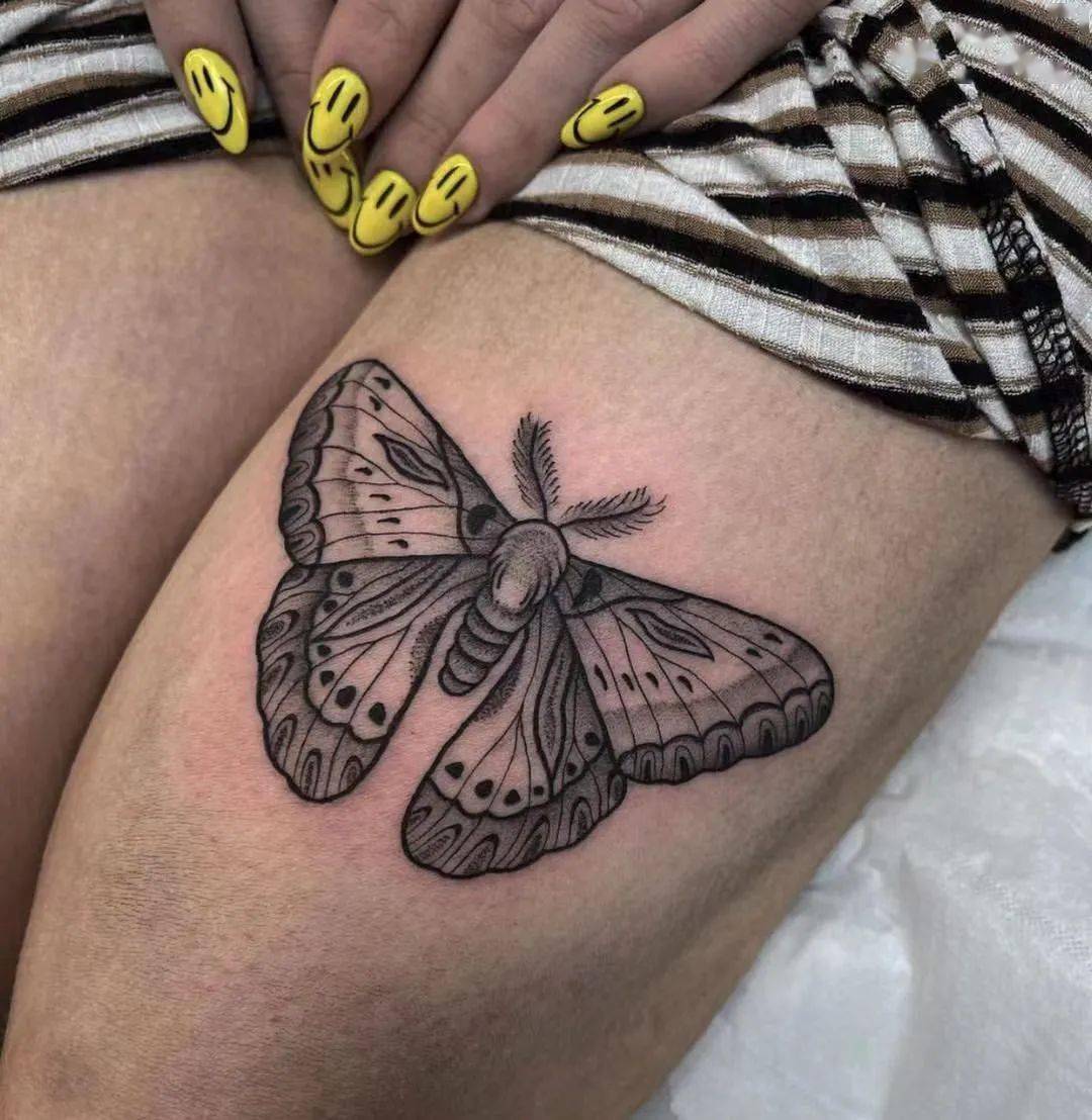 飞蛾扑火的意思什么 24ef305d81c74f9987d64c82eb4d53a9.jpeg