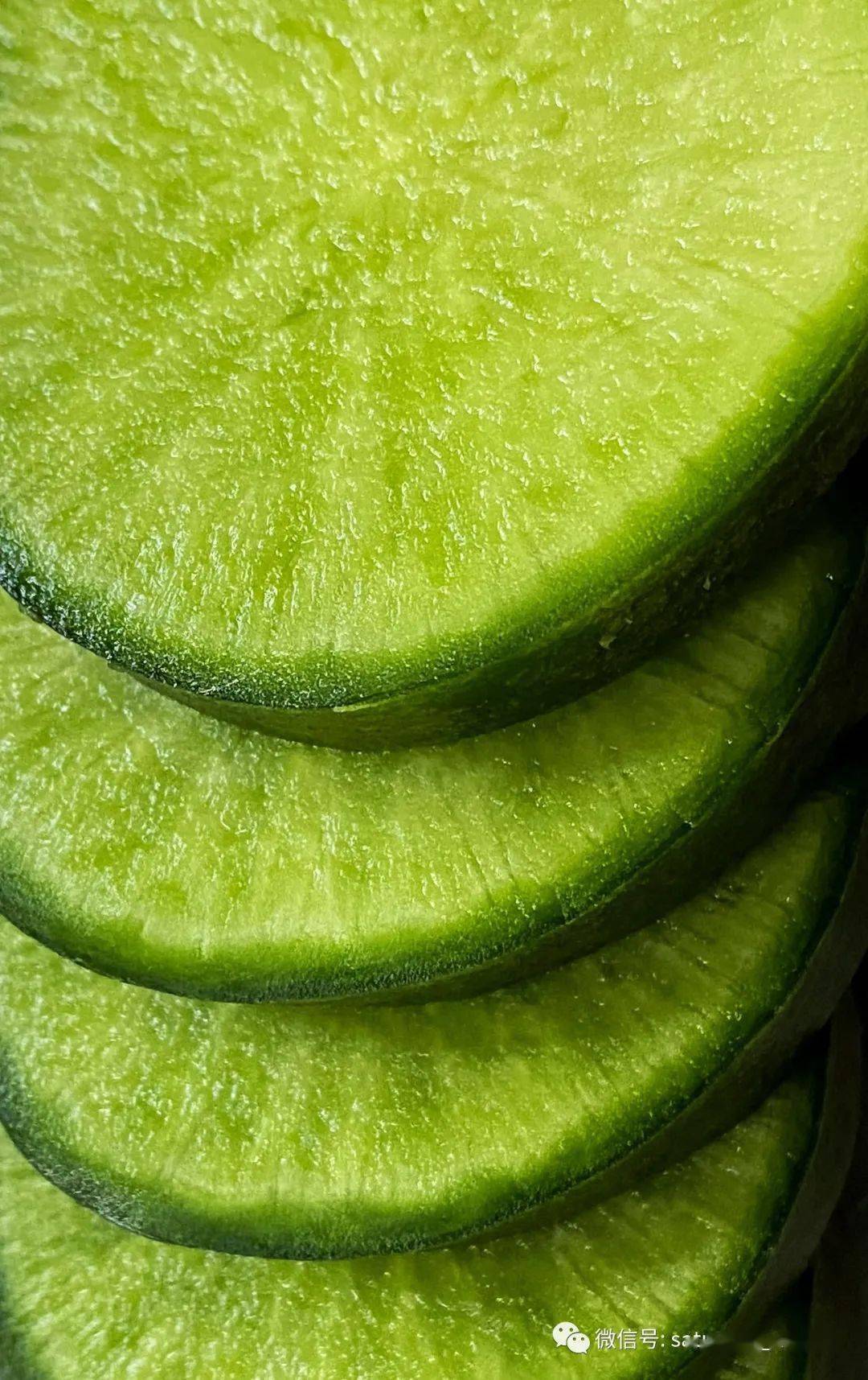 爽口,脆,多汁,也是甜,但口感末端会有一丝丝萝卜的辣,这就是葛沽萝卜.