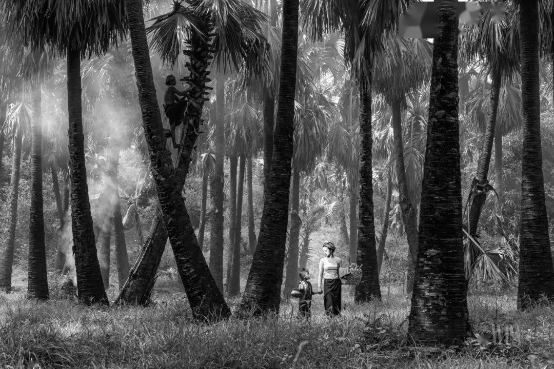 黑白/单色类丨world photography awards 2021丨 获奖作品