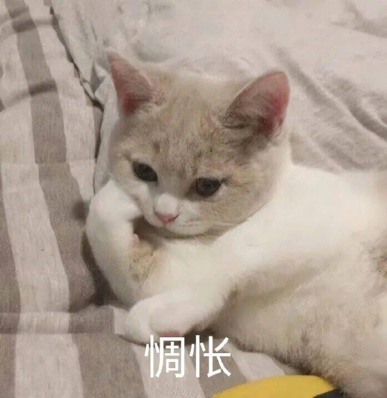 少儿|索尼这两个小方块，让我乐的像个三岁小屁孩。