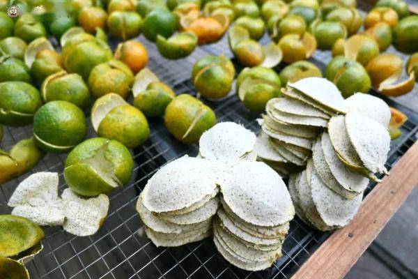 街坊|它很丑但很“贵”！广州街坊很爱吃，数万元一斤