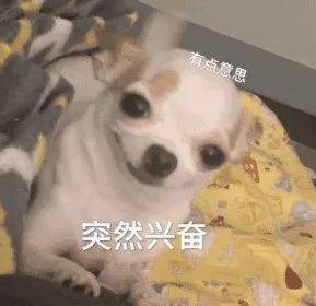 氛围 冬天第1套look，跪求你这样穿，好看又高级！！