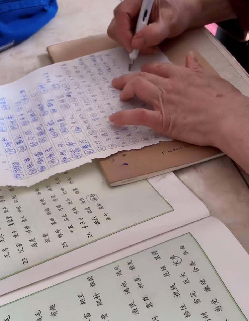 河南一孩子因犯错误被罚抄课文,奶奶心疼孙女,废寝忘食帮写作业_权力_同学_体育课