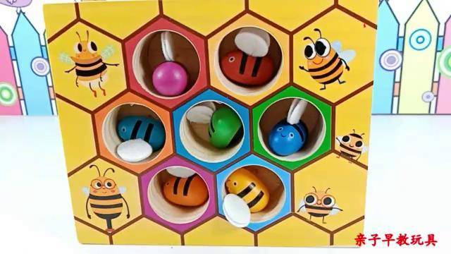 蓝色黄色和红色,认识不同颜色的小蜜蜂