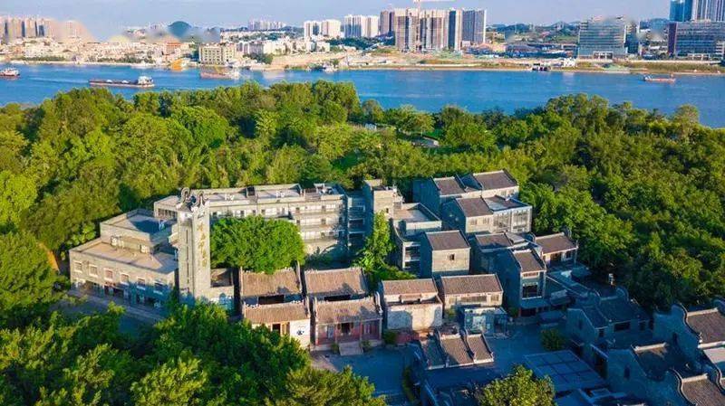 番禺小谷围岛:产城才联动,打造创新"生态雨林"