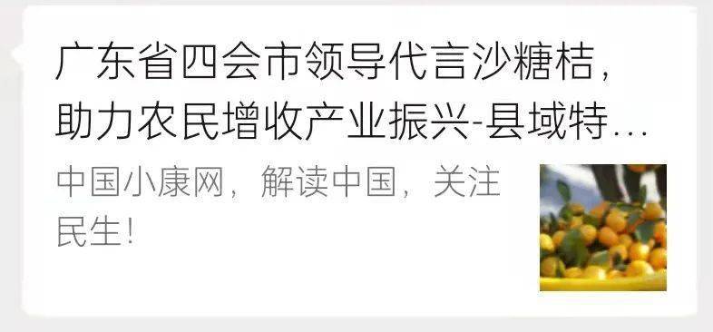 市领导代言四会沙糖桔引起各界广泛关注超正摘果线路带您品尝正宗四会