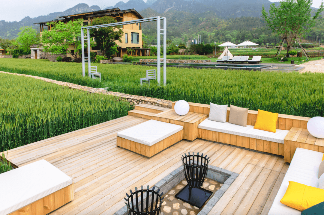 楠溪江唯一稻田民宿攒局,年末高质量团建走起!_庭院_房间_泳池