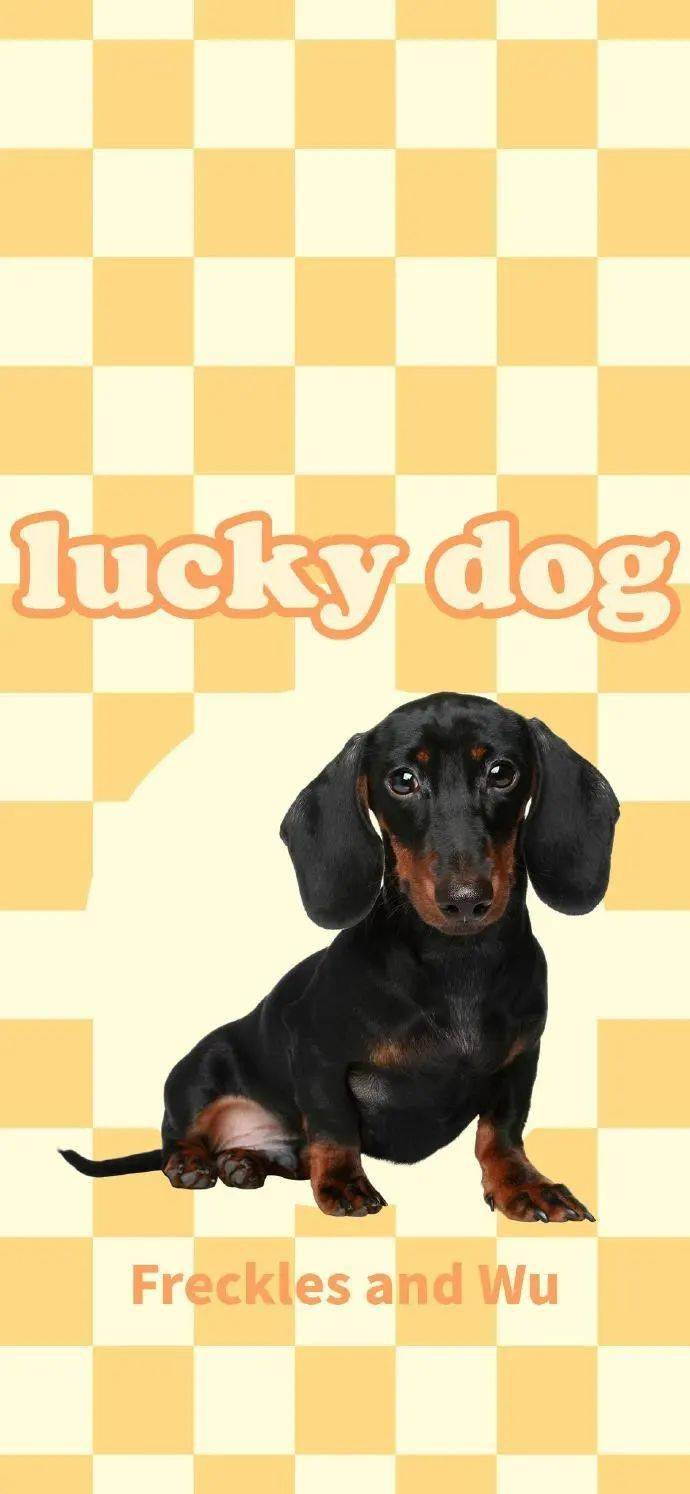 20,热闹从来都是别人的,我什么都没有.