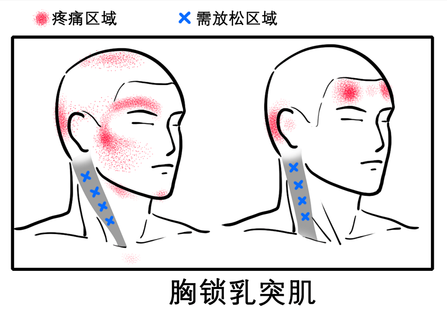 c8af153e9c2b438bbd9c31b1b7b8ecbd.png