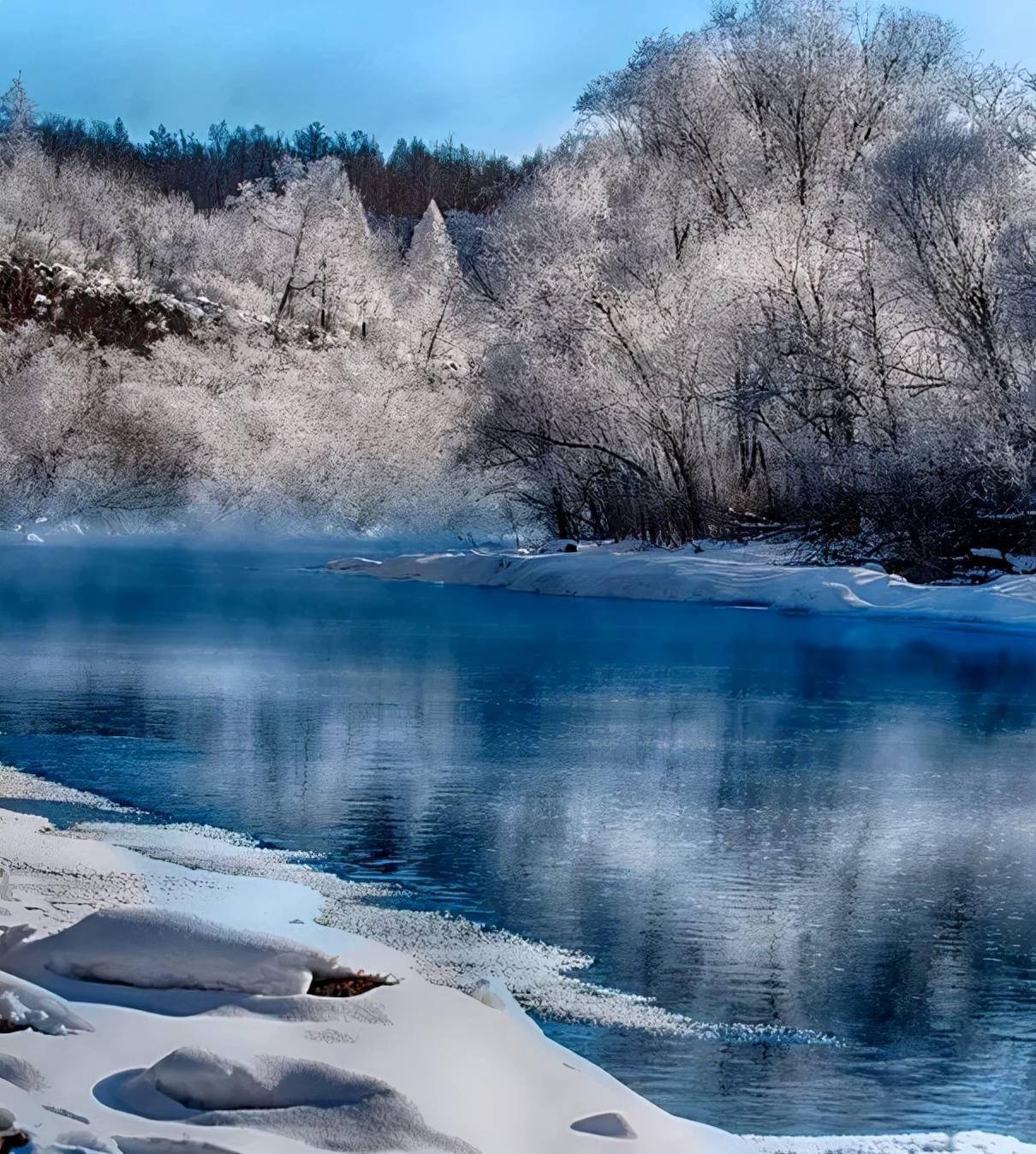 新疆雾凇这才是完美冬天的打开方式真正的冰雪王国