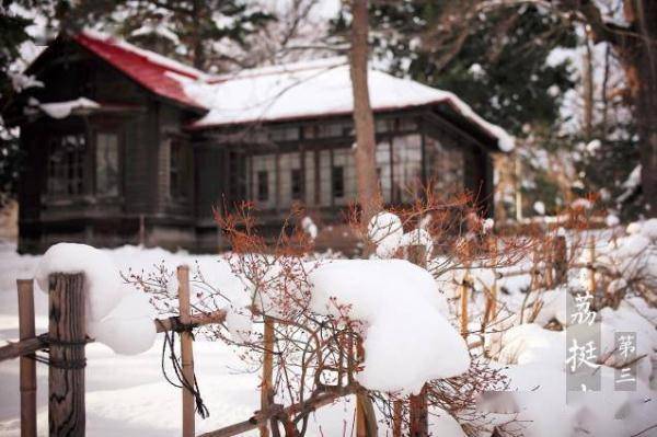 水果|今日大雪 | 邂逅最美的冬天