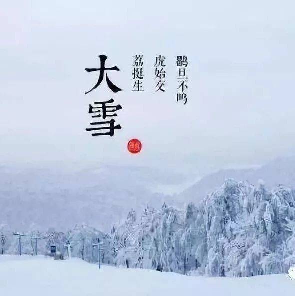 大雪一候---鹖(he)鴠(dan)不鸣_粉蝶_花色_开花