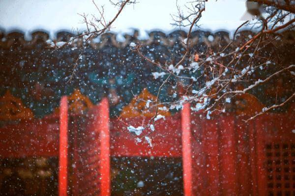 水果|今日大雪 | 邂逅最美的冬天