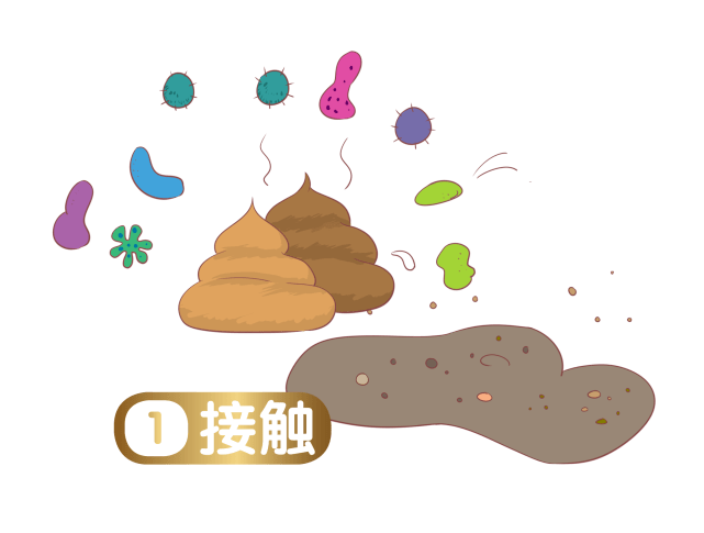 诺如病毒防治攻略_幼儿园_症状_家长