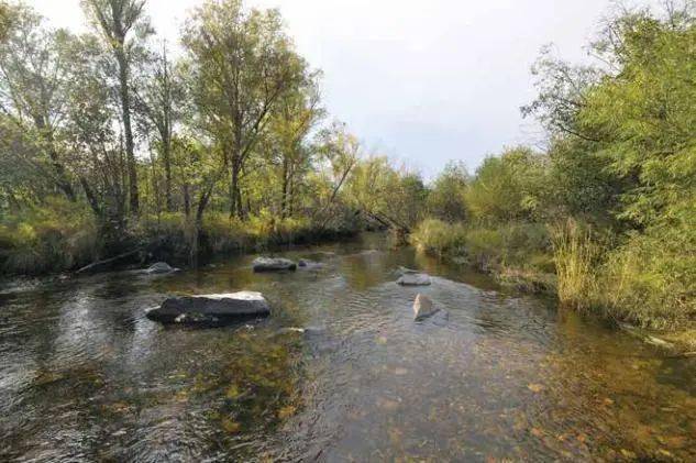 嘎仙洞遺址位於大興安嶺北段頂峰東麓,嫩江支流甘河上源嘎仙溝左岸