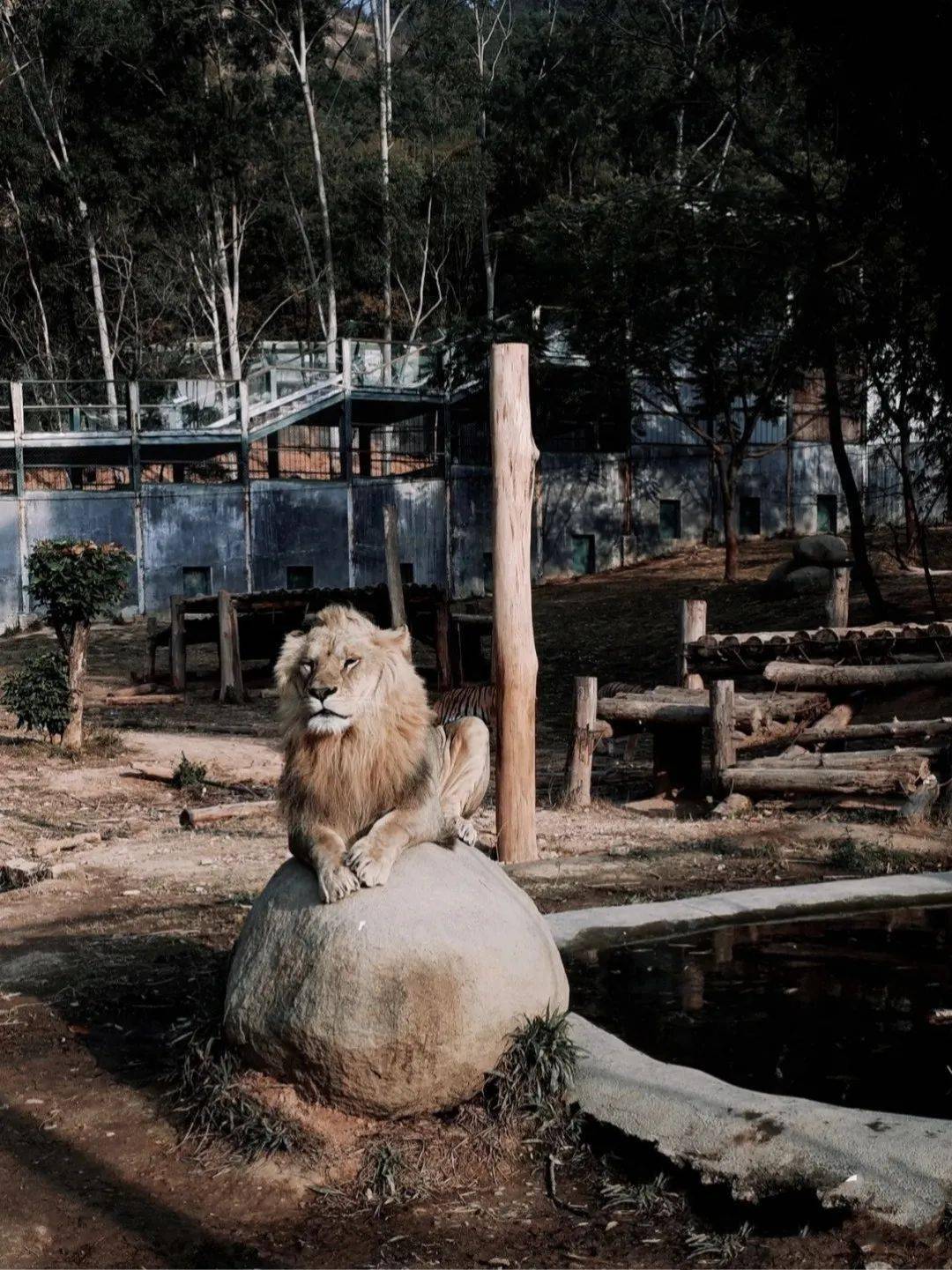 行恕研學│非凡的新朋友暢遊泉州海絲野生動物園