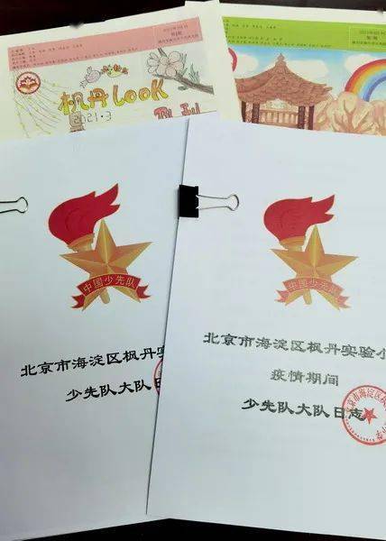 队阵地优秀少先队大中队日志展示一