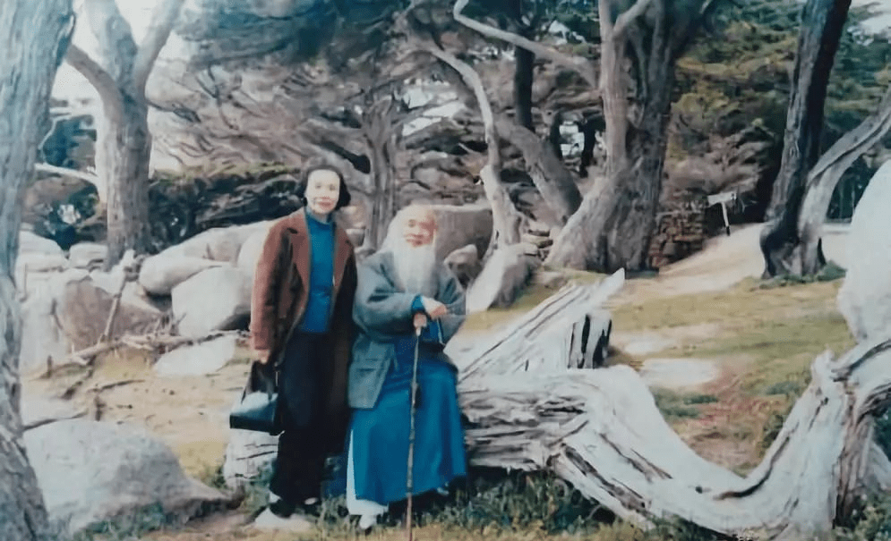 方召麐和恩师张大千尽管方召麐的成功让人敬佩不已,但其背后的辛酸