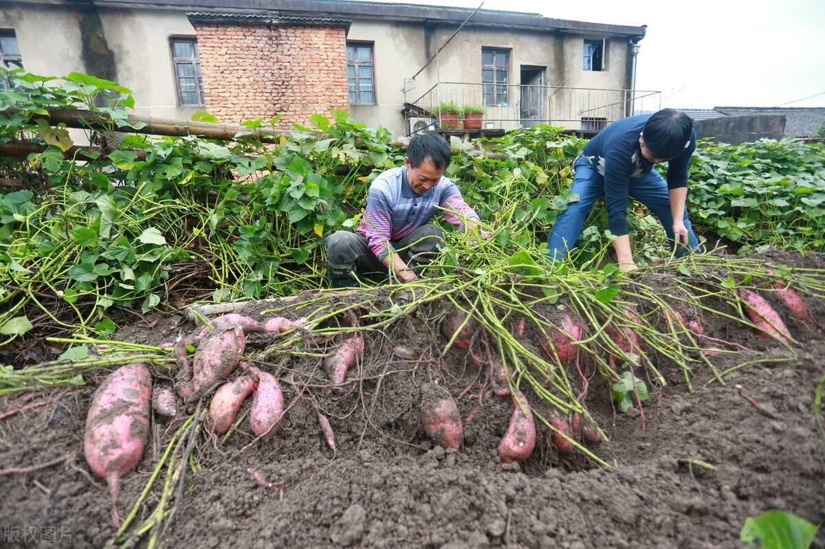 f10384266d734f3396178d616a62f5c9.jpeg